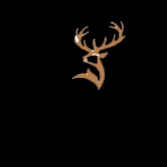 Glenfiddich
